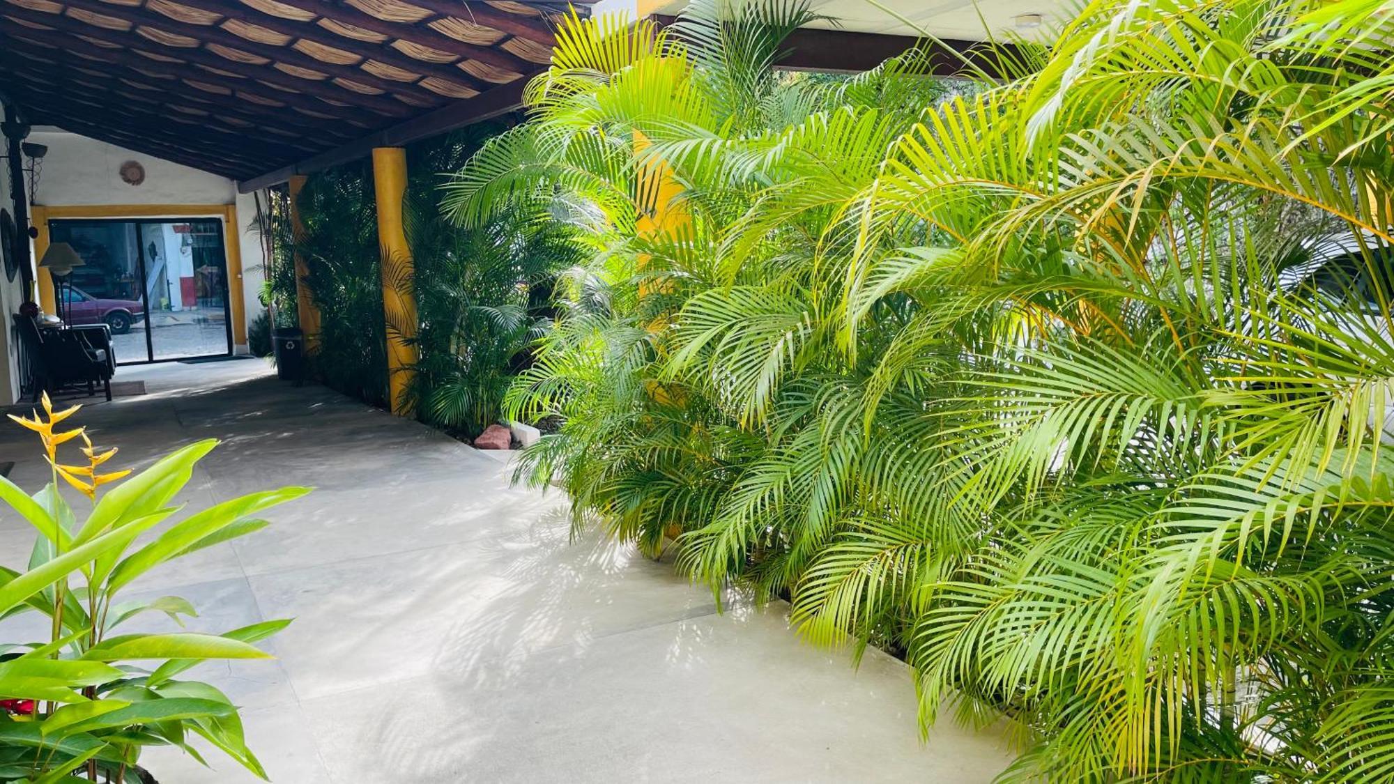 Hotel Boutique Ixaya Puerto Vallarta Eksteriør billede